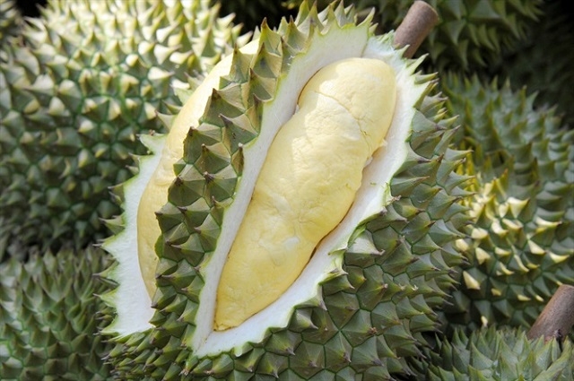 Năm 2019, sản phẩm sầu riêng hữu cơ của HTX Nông nghiệp hữu cơ Đại Ngàn đã được UBND tỉnh Gia Lai công nhận đạt 3 sao cấp tỉnh (Ảnh: TL)