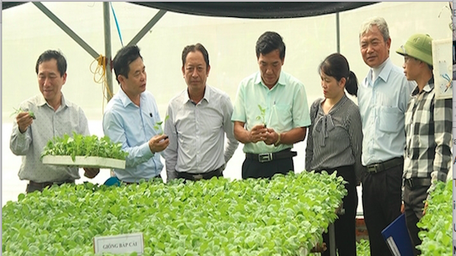 Hải Dương khuyến khích phát triển HTX (Ảnh: Tư liệu)