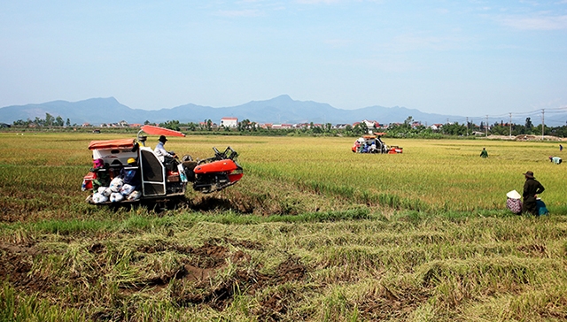 Các HTX nông nghiệp hoạt động hiệu quả và đóng vai trò quan trọng trong chương trình xây dựng nông thôn mới của tỉnh Quảng Bình (Ảnh: TL)