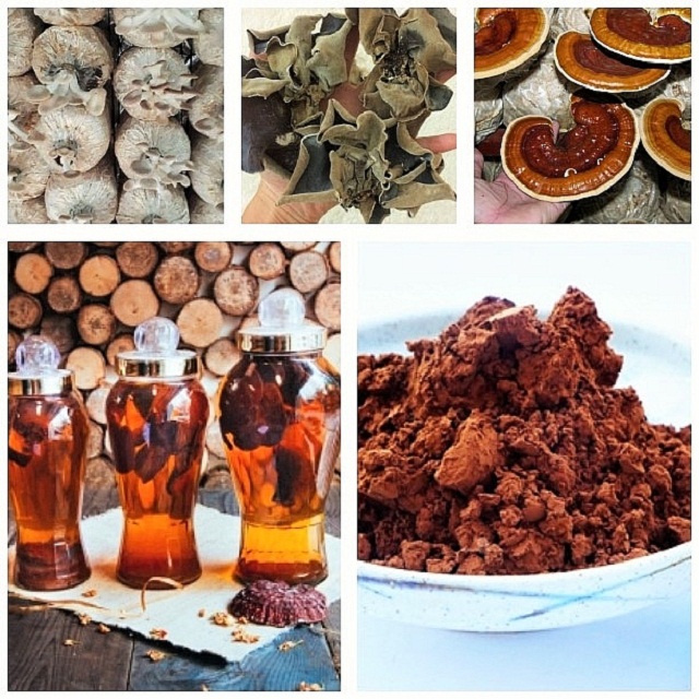 Sản phẩm nấm của HTX Sản xuất, Chế biến và Tiêu thụ Nấm Nhì Tây rất đa dạng (Ảnh:TL)