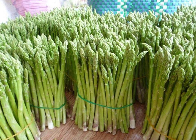 HTX Chà Là mở rộng sang trồng măng tây để giúp người dân, thành viên nâng cao thu nhập trên cùng một đơn vị diện tích (Ảnh: TL)