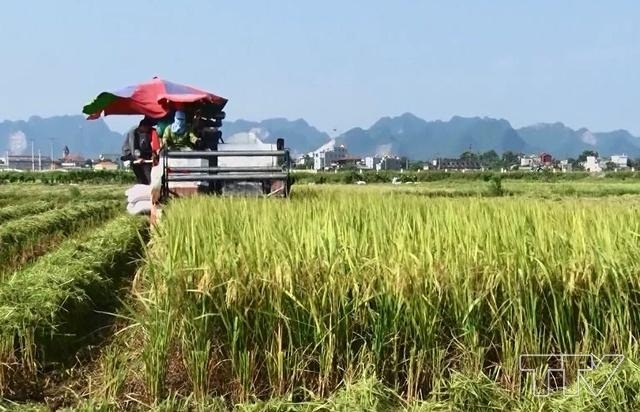 Tín dụng ngân hàng góp phần tái cơ cấu ngành nông nghiệp (Ảnh: TL)