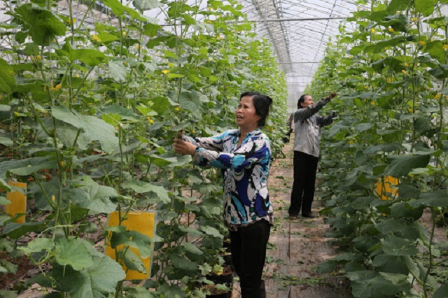 Để phát triển nông nghiệp công nghệ cao cần chính sách đất đai được công khai, minh bạch (Ảnh: TL)