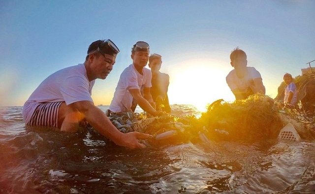 Lặn vớt rác thải nhựa – Vì Lý Sơn không còn rác thải nhựa (Ảnh: TL)