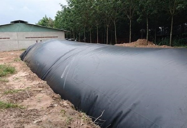 Hầm biogas bằng màng HDPE giúp xử lý chất thải chăn nuôi trên quy mô lớn (Ảnh: TL)