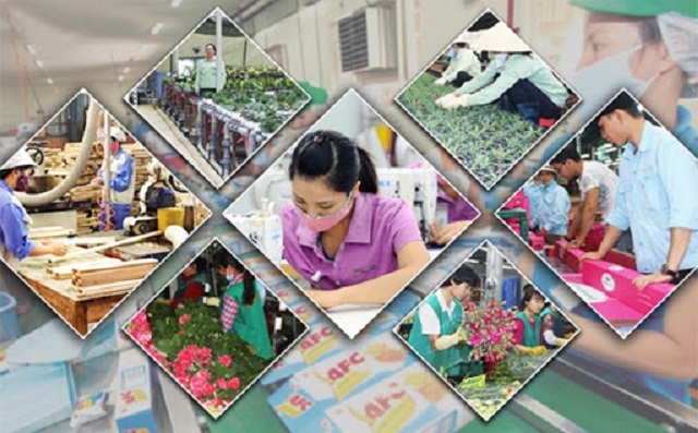 Chương trình hỗ trợ 2261 đã mang lại nhiều hỗ trợ tích cực cho khu vực kinh tế HTX. (Ảnh: Internet)