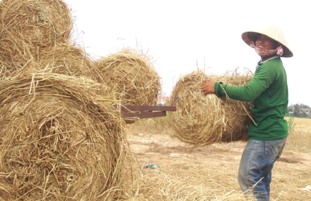 Rơm cuốn vừa giúp tăng thu nhập vừa bảo vệ môi trường (Ảnh: TL)