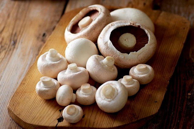 Nghề trồng nấm ở Đà Nẵng đã tạo việc làm, thu nhập ổn định cho nông dân (Ảnh:TL)