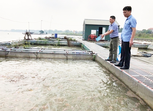 Bắc Ninh đang thúc đẩy kinh tế trang trại (Ảnh Tư liệu)