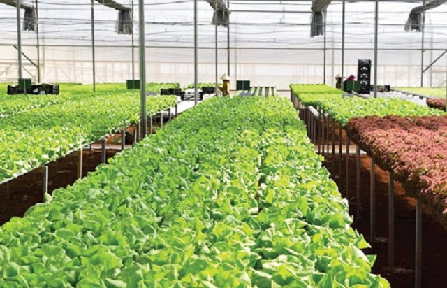 HTX xây dựng chuỗi giá trị ngày càng bền vững trên thương trường (Ảnh: TL)