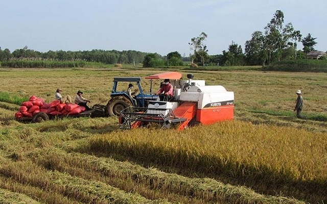 Để canh tác trên một diện tích lớn cần khuyến khích HTX tích tụ ruộng đất (Ảnh: TL)