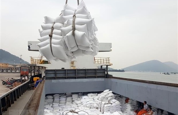 Giá gạo xuất khẩu của Việt Nam tăng 6,3% (Ảnh Internet)