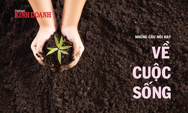 Những câu nói hay về cuộc sống