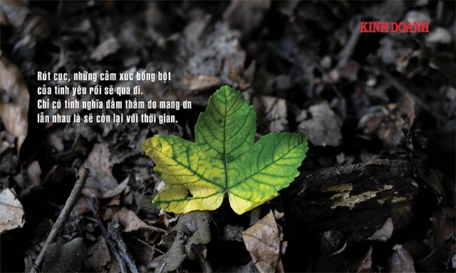 Rút cục, những cảm xúc bồng bột của tình yêu rồi sẽ qua đi. Chỉ có tình nghĩa đằm thắm do mang ơn lẫn nhau là sẽ còn lại với thời gian.