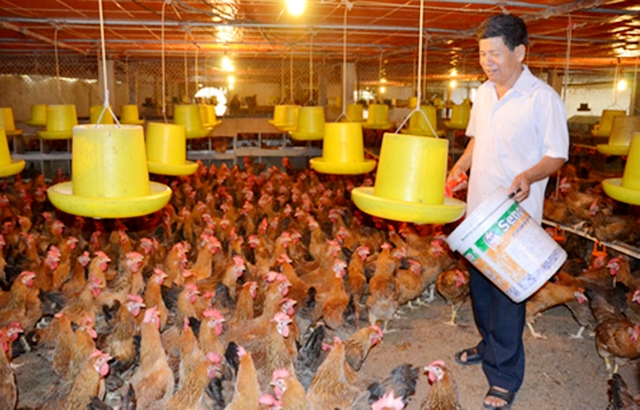 Tỉnh Thái Nguyên sẽ tiếp tục đẩy mạnh các chính sách hỗ trợ HTX phát triển (Ảnh TL)