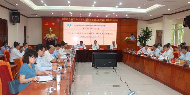 Hội nghị Thúc đẩy phát triển chăn nuôi lợn do Bộ NN&PTNT tổ chức đưa ra nhiều khuyến nghị nhằm tháo gỡ khó khăn cho các HTX chăn nuôi lợn.