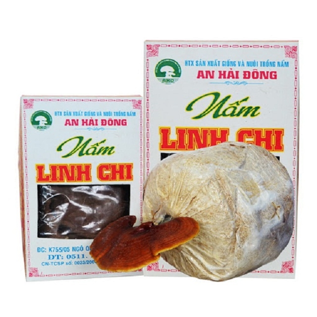 Sản phẩm nấm linh chi của HTX An Hải Đông (Ảnh:TL)