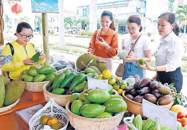 Giúp nông dân liên kết lại tạo thành vùng chuyên canh, cho ra thị trường những sản phẩm đảm bảo chất lượng (Ảnh: TL)