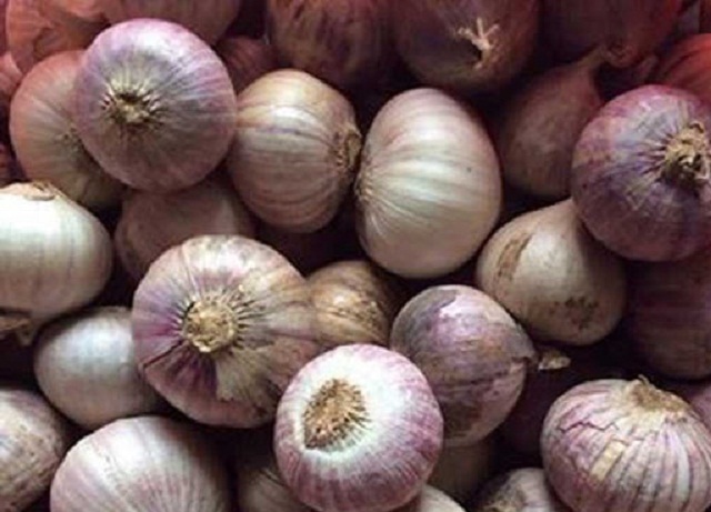 Tỏi tía là sản phẩm tiêu biểu của địa phương được Tổ hợp tác và kinh doanh tỏi Phù Yên phát triển theo chuỗi (Ảnh: TL)