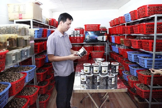 Sản xuất tỏi đen giúp nâng cao giá trị sản phẩm, thay đổi cuộc sống cho nhiều người dân huyện Yên Châu - tỉnh Sơn La (Ảnh: TL)