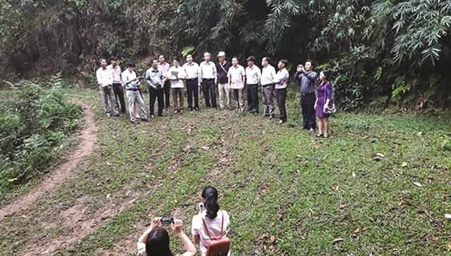 Đoàn cán bộ của Liên minh HTX các tỉnh và một số HTX lâm nghiệp miền Trung đến thăm và nghiên cứu, học tập HTX nông lâm nghiệp Bình Minh năm 2019