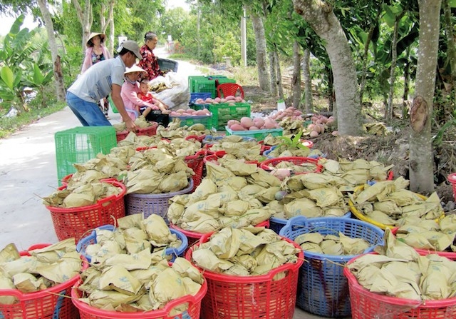 HTX xoài Suối Lớn mong liên kết DN để gỡ bài toán khó trong tiêu thụ (Ảnh: Tư liệu)