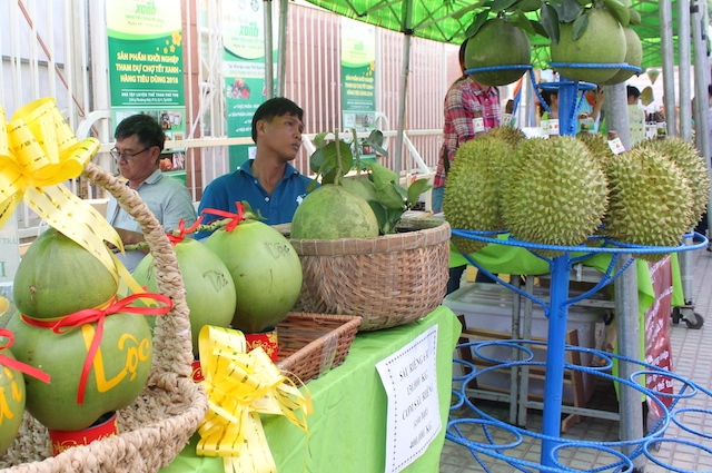 Xuân Lộc có nhiều trái cây đặc sản và đang rất cần liên kết khâu chế biến, tiêu thụ (ảnh: TV)