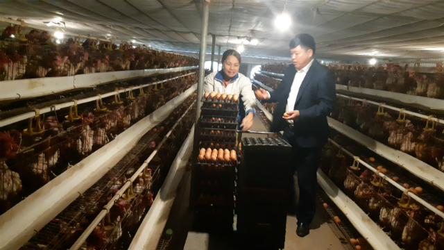 Thực hiện quy vùng chăn nuôi tập trung góp phần bảo vệ môi trường, quản lý tốt dịch bệnh và đem lại thu nhập cao vào cho người chăn nuôi...