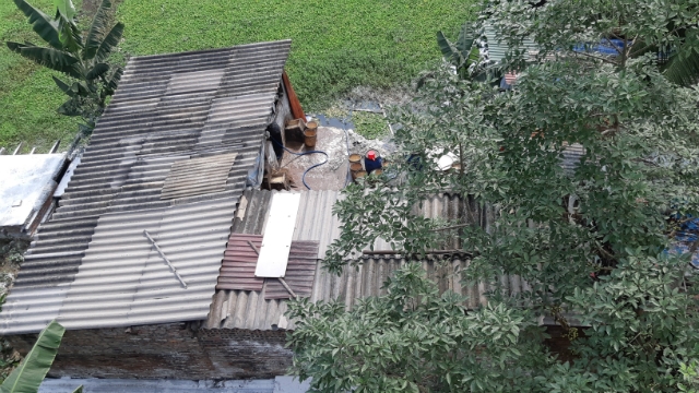 Trại nuôi lợn gây ô nhiễm môi trường tại phường Đằng Lâm sẽ đóng cửa (ảnh TV)