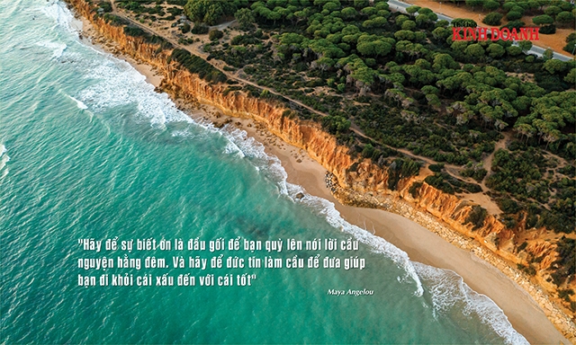 Hãy để sự biết ơn là đầu gối để bạn quỳ lên nói lời cầu nguyện hằng đêm. Và hãy để đức tin làm cầu để đưa giúp bạn đi khỏi cái xấu đến với cái tốt Maya Angelou