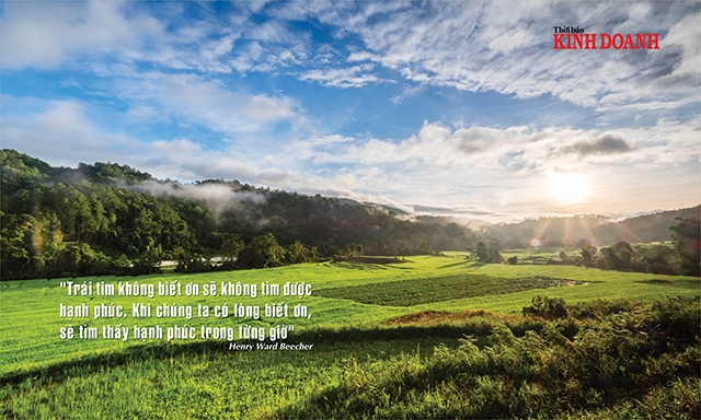 Trái tim không biết ơn sẽ không tìm được hạnh phúc. Khi chúng ta có lòng biết ơn, sẽ tìm thấy hạnh phúc trong từng giờ Henry Ward Beecher