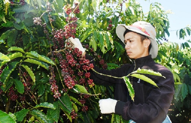 Huyện Đăk Hà chủ động lồng ghép chính sách, dự án của Trung ương và của tỉnh để tập trung đầu tư phát triển ở những xã khó khăn (Ảnh: TL)