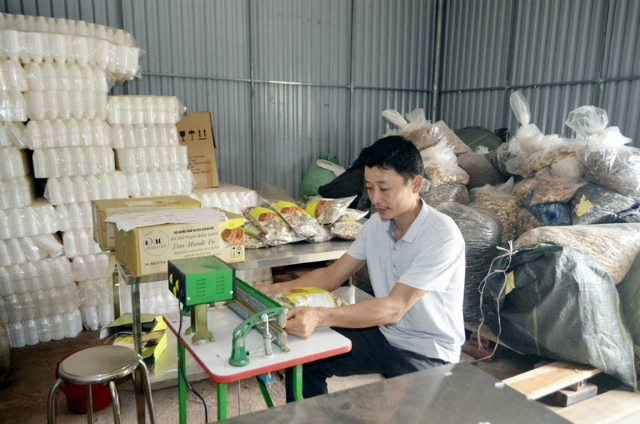 HTX Quế Sơn đã đầu tư thêm nhiều máy móc thiết bị để phục vụ việc thu mua, chế biến, đóng gói thuốc nam