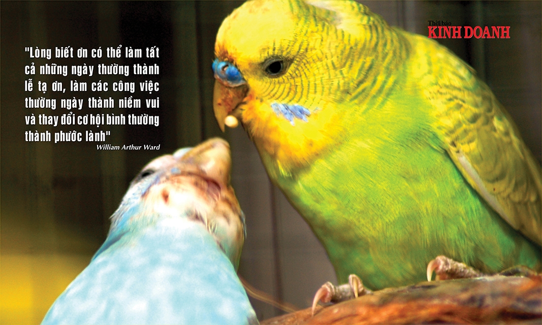 Lòng biết ơn có thể làm tất cả những ngày thường thành lễ tạ ơn, làm các công việc thường ngày thành niềm vui và thay đổi cơ hội bình thường thành phước lành William Arthur Ward