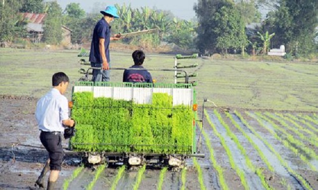 Thành viên HTX được tập huấn thường xuyên để sử dụng máy móc, thiết bị sản xuất an toàn (Ảnh: TL)