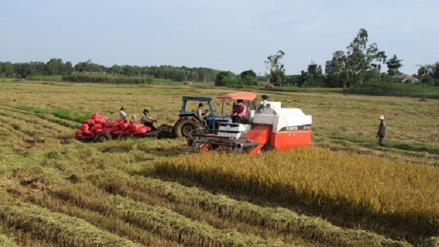 Cần sớm ban hành khung pháp lý cho thành lập, tổ chức và hoạt động của Quỹ HTX (Ảnh: TL)