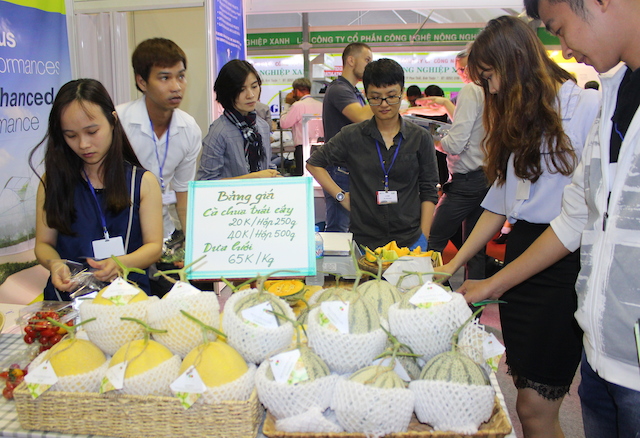 Dưa lưới Bình Dương đang có chỗ đứng vững chắc trên thị trường