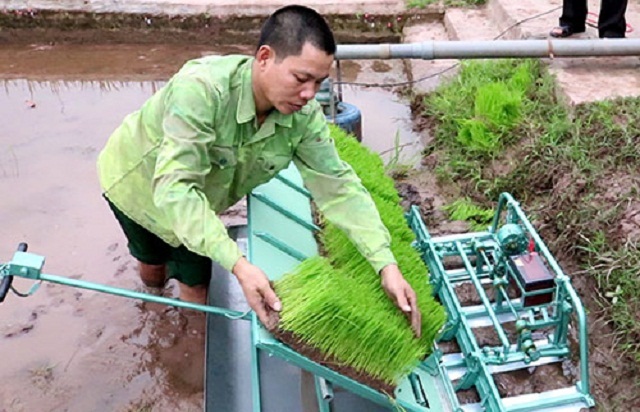 Liên kết giữa DN và HTX sẽ tạo ra nhiều sản phẩm sáng tạo (Ảnh: TL)