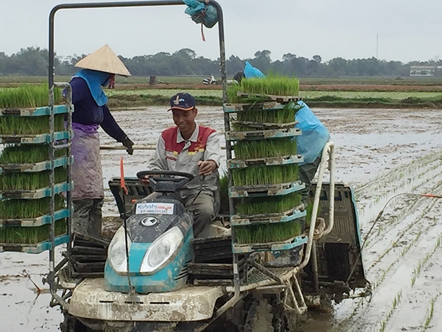 Máy cấy Kubota của HTX An Lỗ làm dịch vụ cho thành viên (Ảnh: TL)