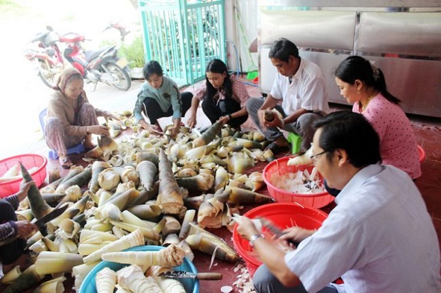 Sơ chế măng điền trúc (Ảnh: TL)
