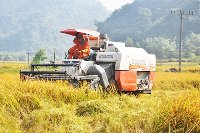 Huyện Na Rì sẽ tiếp tục đẩy mạnh vai trò của HTX, doanh nghiệp để nâng bước cho nông dân (Ảnh TL)