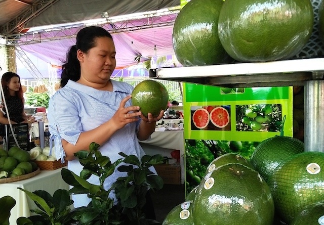 Bưởi Tà Lài của HTX nằm trong 12 sản phẩm được chọn phát triển theo Chương trình OCOP tỉnh Đồng Nai