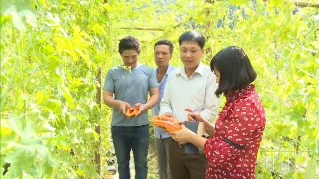 Nhiều HTX có bước chuyển tích cực sau khi có cán bộ trình độ ĐH, CĐ về làm việc (Ảnh: TL)