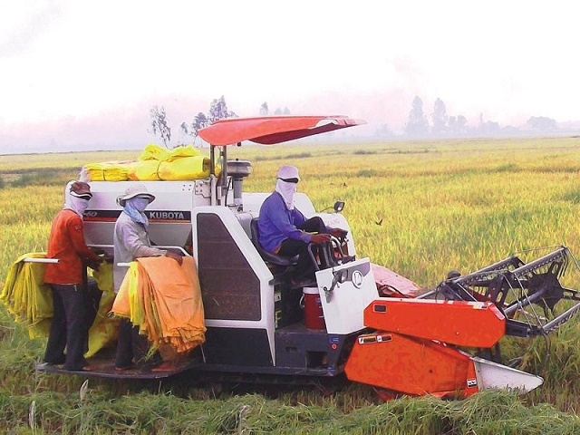 Sản xuất VietGAP giúp nâng cao nhận thức về ATLĐ cho nông dân (Ảnh: Tư liệu)