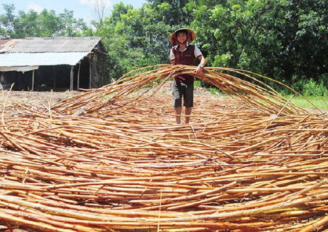 Đã có thời gian các mặt hàng mây tre đan bán thành phẩm của HTX Duy Sơn 2 phải sản xuất cầm chừng (Ảnh: TL)