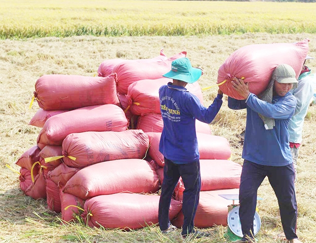 HTX cần được trợ lực để không bị lép vế trong cuộc chơi với doanh nghiệp (Ảnh TL)
