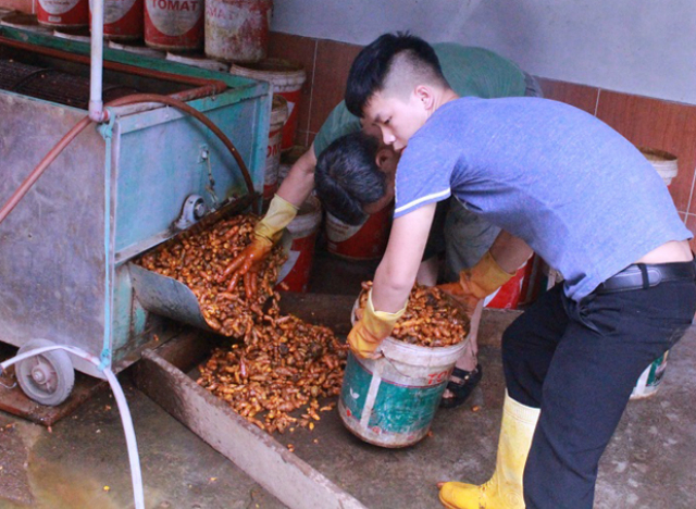 Sản phẩm của Bắc Mê được đánh giá cao ở Chương trình OCOP (Ảnh: TL)