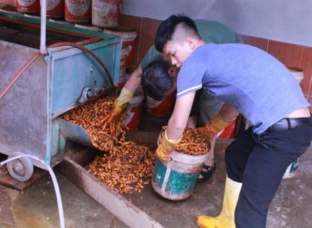 Sản phẩm của Bắc Mê được đánh giá cao ở Chương trình OCOP (Ảnh: TL)