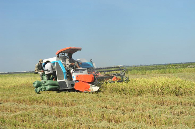 Cơ giới hoá giúp nâng cao giá trị sản xuất trên diện tích đồng ruộng của thành viên HTX Đại Phong (Ảnh: TL)