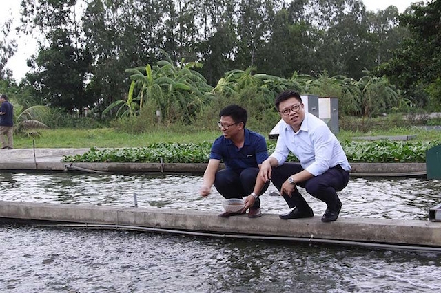 HTX Xuyên Việt đã đưa ra nhiều giải pháp vượt khó (Ảnh: Tư liệu)